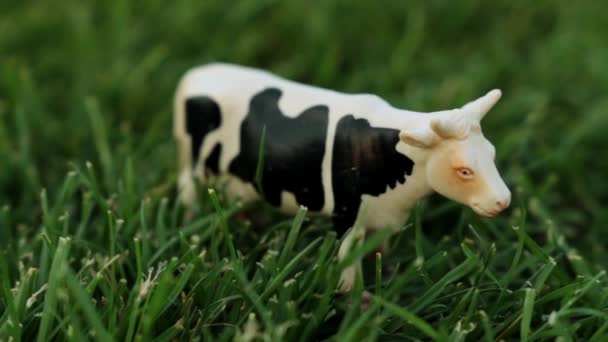 Figur einer Kuh auf dem Gras. Spielzeugkuh auf dem Rasen. — Stockvideo