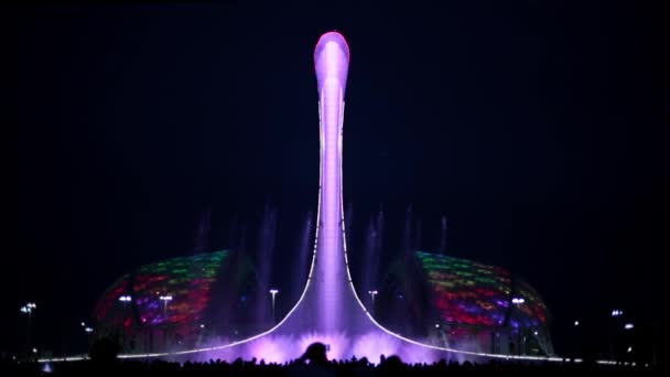 Una bella fontana musicale a Sochi di notte. Stadio Fisht . — Video Stock