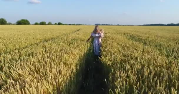 Воздушное видео женщины, гуляющей с ребенком на пшеничном поле . — стоковое видео