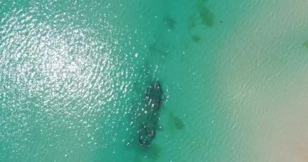 Aerea: Bella nave affondata sul fondo del mare. Mare, viaggi e turismo . — Video Stock