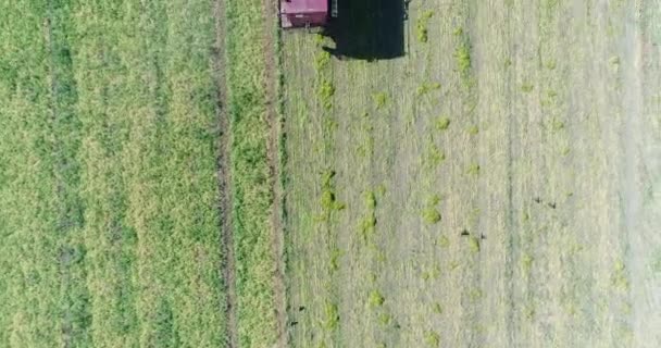 Aérien, Moissonneuse sur le terrain .