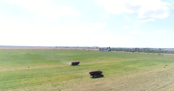 Cosechadoras en el campo están cosechando la hierba . — Vídeos de Stock