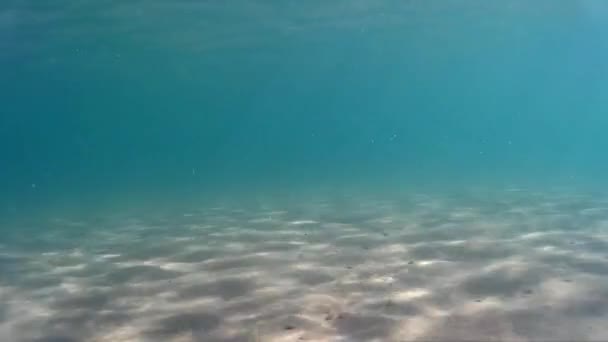 Sea and sand bottom under water. — Stock Video