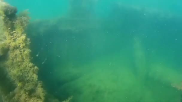 Buque hundido bajo el agua en el mar . — Vídeo de stock