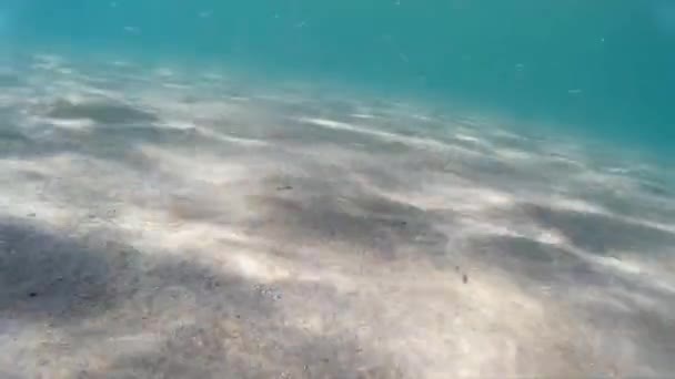 Sandy bottom and the sea under water. — Stock Video