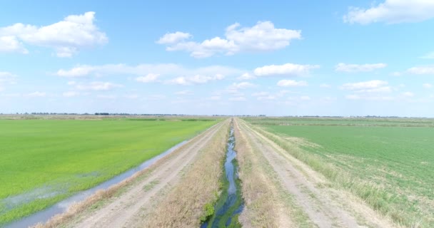 Antény - rýže zaplavila louky. Panorama z rýžové pole. — Stock video