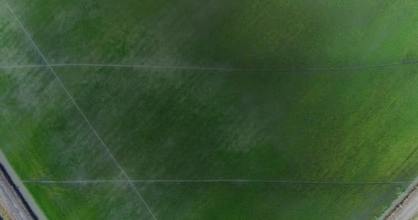 Fotografia aérea é um grande campo de arroz . — Vídeo de Stock