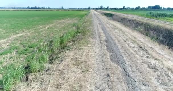 Сільська брудна дорога в полі . — стокове відео