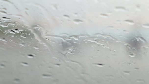 Gocce di pioggia sul vetro — Video Stock