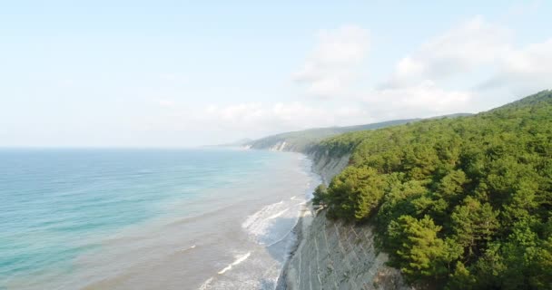 航空写真 海の岩の多い海岸 山の緑の森 — ストック動画