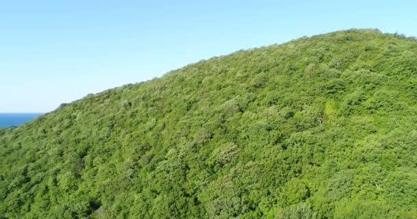 Luchtfotografie, hoge bergen, groene bossen en zee. — Stockvideo