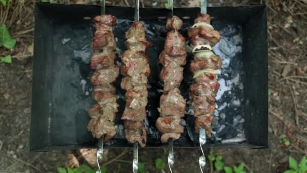 Shish kebab is fried on a brazier. — Stock Video