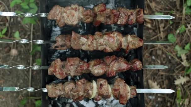 Fried meat on coals. Shish kebab is fried on a brazier. — Stock Video