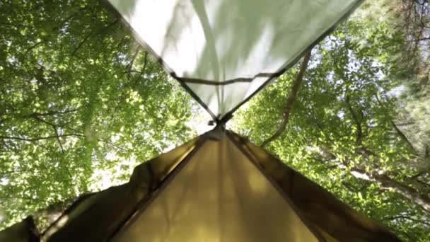 Vista della foresta dalla tenda turistica . — Video Stock