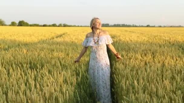 Vacker ung kvinna vandrar i en veteåker. — Stockvideo