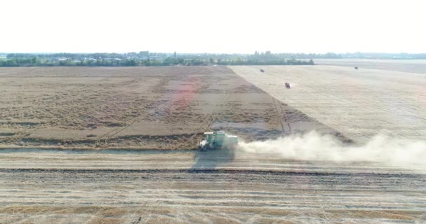 Photographie aérienne, combiner moissonneuse-batteuse dans un champ de blé. Agriculture, récolte .