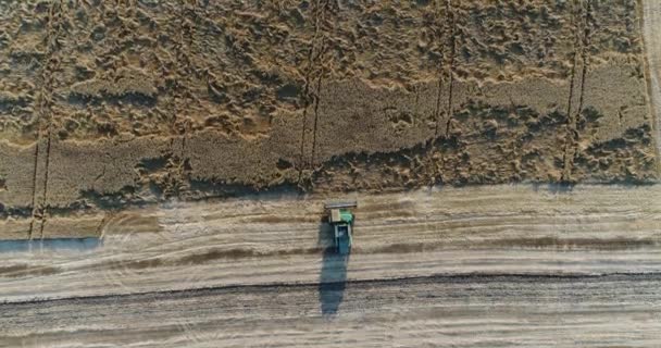Luftaufnahme, der Mähdrescher reitet in einem Weizenfeld. — Stockvideo
