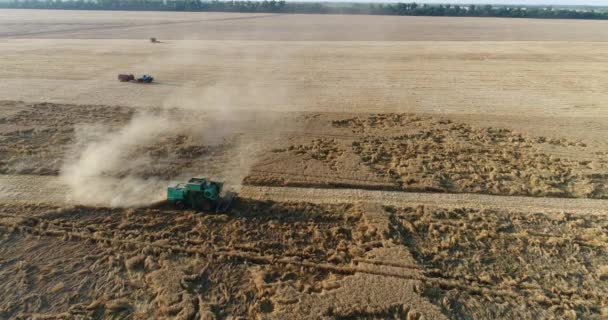 Cosecha, vista aérea. Fotografía aérea, cosechadora combinada en el campo . — Vídeos de Stock