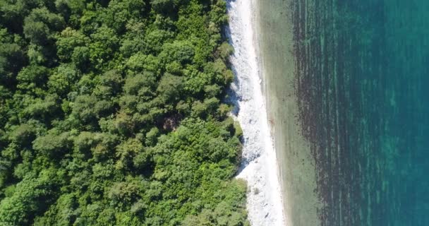 航空写真、青い海と緑の森。美しい海の自然な背景. — ストック動画
