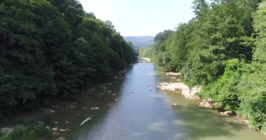 Hava fotoğrafçılığı, ormanın içinde sakin nehir. Doğa, orman ve nehir.
