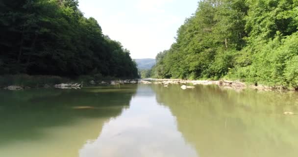 Luftaufnahmen, ruhiger Fluss im Wald. — Stockvideo