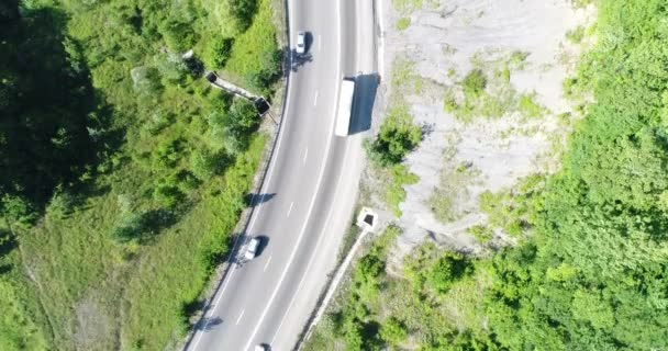 Vista aérea: carretera, coches y árboles verdes . — Vídeos de Stock