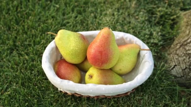 Peras en una canasta en la hierba. Cosecha de frutas . — Vídeos de Stock