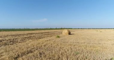 Hava fotoğrafçılığı alanında haystacks. Hasat, saman, saman, yaz.