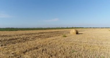 Anteni - haystacks alanında. Hasat, saman, saman, yaz.