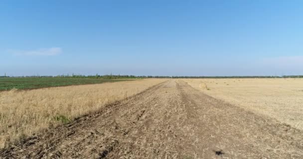 Воздушная - Лето, сельскохозяйственное поле, рулон сена . — стоковое видео