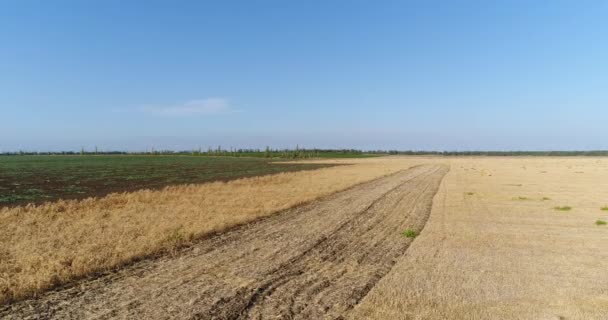 Luftaufnahmen, Ernte, Heurolle, Strohstapel, Sommer. — Stockvideo