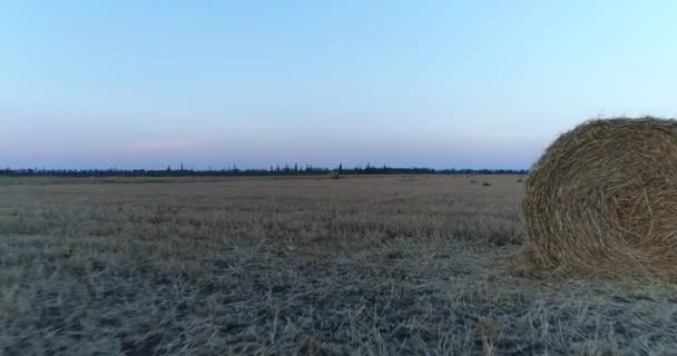 Aérea - Cosecha de heno, timones de paja. Un pajar en el campo, un paisaje rural . — Vídeo de stock