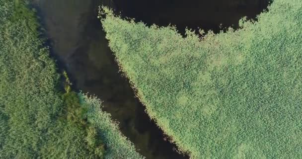 Aérea: un gran lago o pantano . — Vídeo de stock