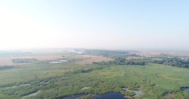 Luchtfoto video, een groot moeras of een meer. Rusland, het meer, het bos. — Stockvideo