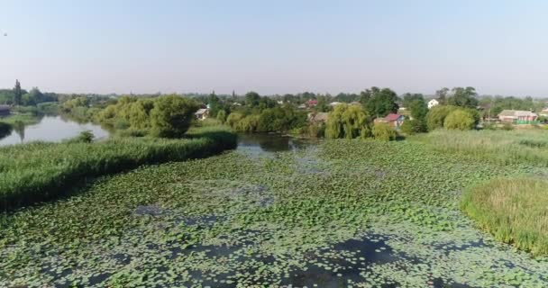 Повітряна фотографія озеро з лотосами і річкою . — стокове відео