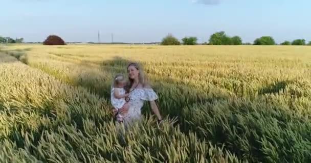 Flygfoto över en kvinna med ett barn och ett vetefält. — Stockvideo