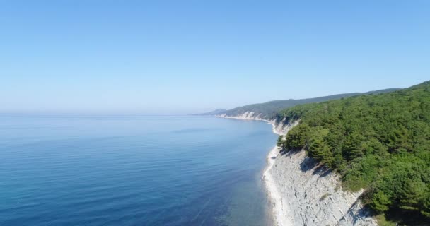 Панорама красивого морского побережья с лесом . — стоковое видео