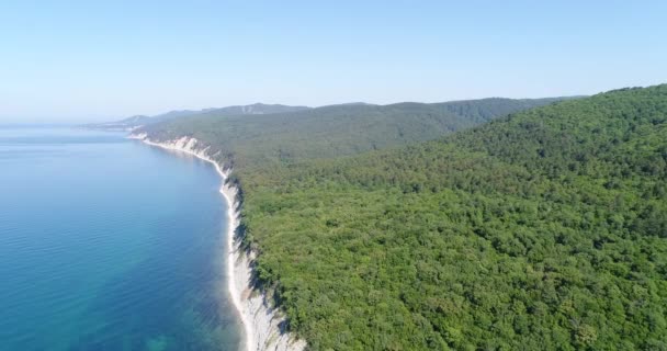 Forêt, colline, arbres et mer bleue, beau fond .