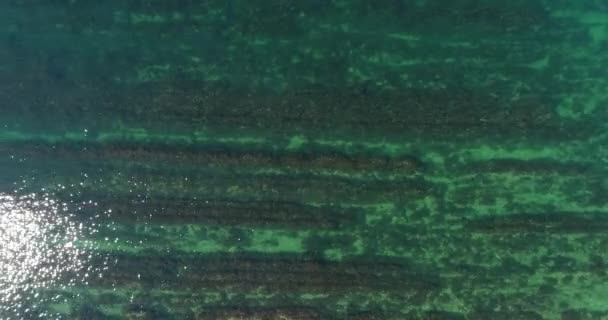 空中 - 透明なターコイズ ブルーの海と水の太陽のまぶしさ. — ストック動画