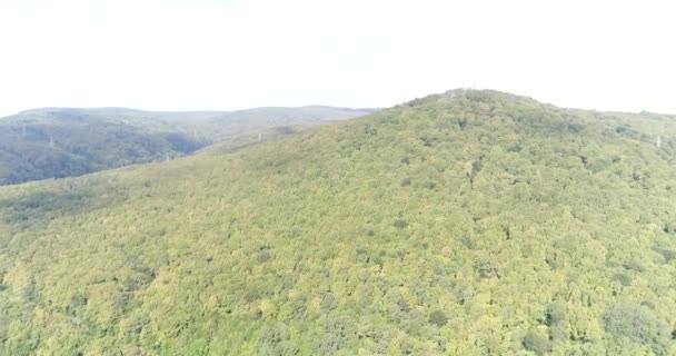 Аерофотозйомка дронами, зеленим пагорбом, лісом, деревами . — стокове відео