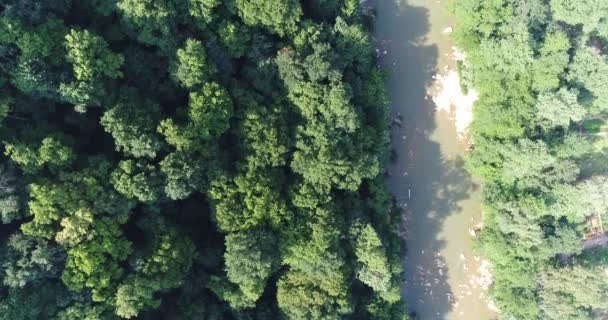 Luftaufnahmen, grüner Wald und Flussbett. — Stockvideo