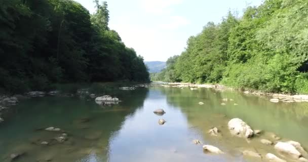 Aerial survey, river bed, stones, green forest and trees. Calm river. — Stock Video