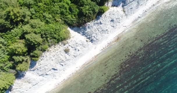 Vue aérienne, mer bleue et forêt verte. Contexte marin . — Video