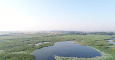 Büyük göl, gölet veya gölet, hava video çekim.