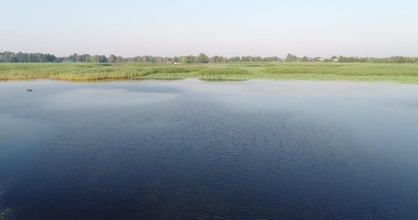 Jezero, rybník nebo rybník, letecké video fotografování. — Stock video