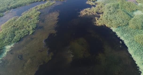 Lago, estanque o pantano, filmación aérea de video . — Vídeo de stock