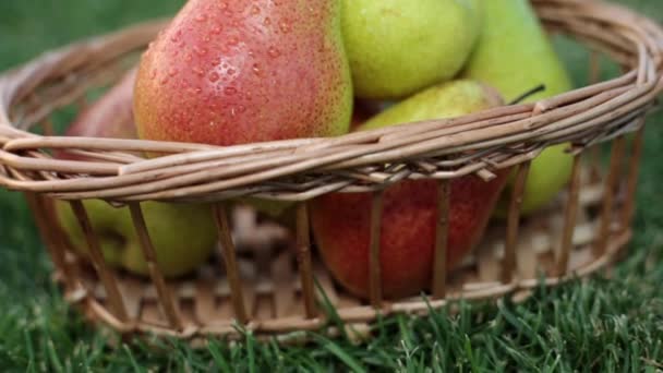 Las peras frescas jugosas en la cesta, el primer plano . — Vídeos de Stock