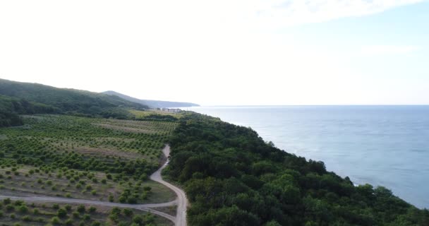 Mar y la colina verde con árboles frutales . — Vídeo de stock