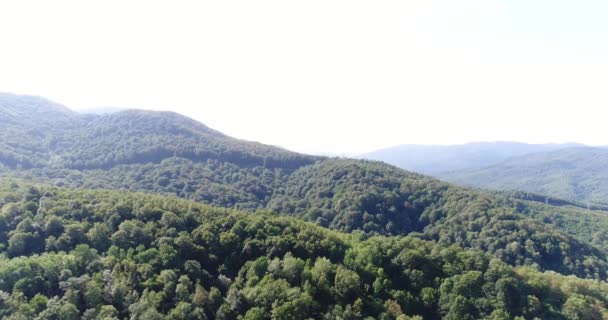 Vista Aérea Bosque Colinas Verdes Amanecer — Vídeo de stock