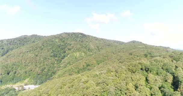 Vista aérea - colinas verdes y bosque. Hermoso panorama de la naturaleza . — Vídeo de stock